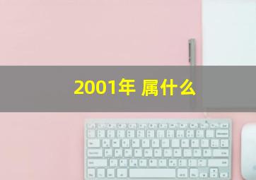 2001年 属什么